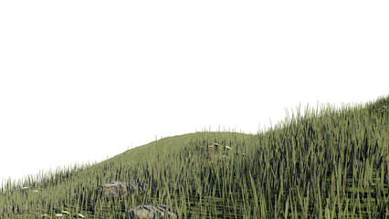 Fototapeta premium nature grass meadow land lush greenery landscape lawn isolated background.