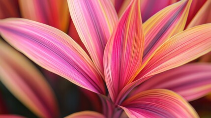 Naklejka premium Vibrant Cordyline Leaf - Close-up of Lush Tropical Foliage in Natural Light
