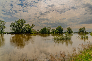 Hochwasser an der Donau bei Straubing