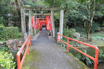 A Japanese shrine : a scene of the access to the precincts of Sanko-inari-daimyojin Shrine in Gifu City in Gifu Prefecture