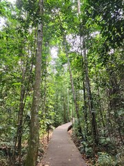 Bukit Timah hiking spot in Singapore