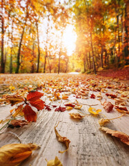 秋の紅葉背景 - カエデの葉とオレンジ色の光　Autumn Foliage Background - Maple Leaves and Orange Light
