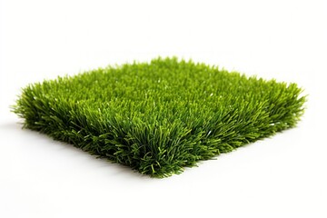 Short fake grass plant lawn white background.