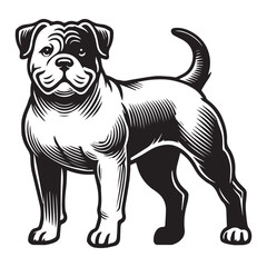 Obraz premium American Bulldog Dog Standing - standing dog side view Vector illustration in black and white 