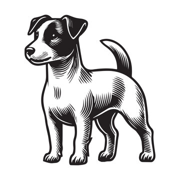 recommend clip art: Jack Russell Terrier Dog Standing silhouette - standing dog side view Vector illustration in black and white