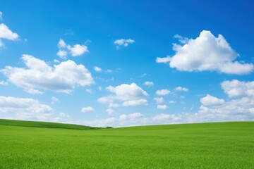 Fototapeta premium Green field with blue sky outdoors horizon nature.