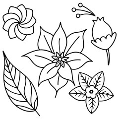 Doodle illustration of plants