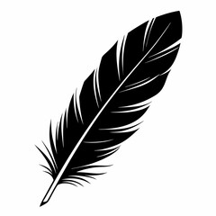 bird feather silhouettes. bird feather icon. vector illustration isolated on transparent background