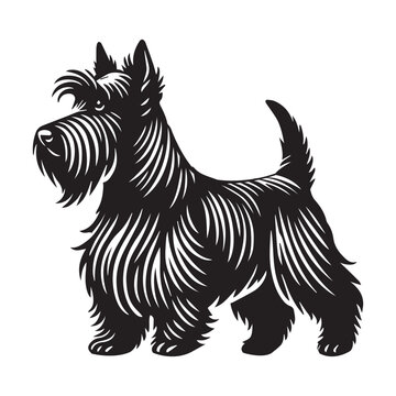 recommend clip art: Scottish Terrier Dog Standing silhouette - standing dog side view Vector illustration in black and white
                    