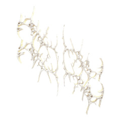 3d cybersigilism white bones texture element