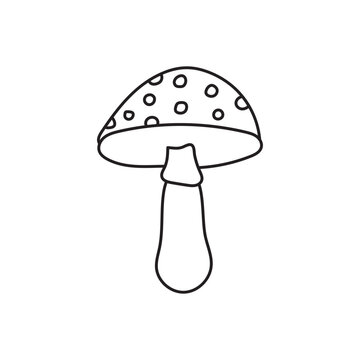 recommend clip art: fungus