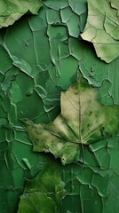 Leaf pattern plant rough green.