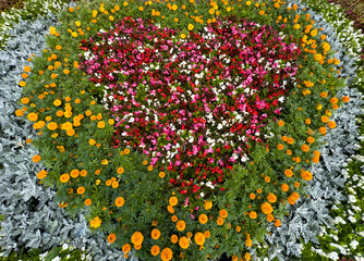 Heart made of flowers in the park