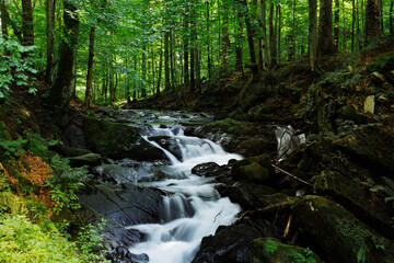 Wodospad Szepid w Bieszczadach © Michał Pronczew