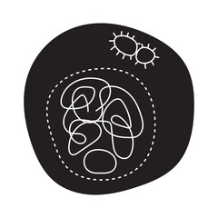 Obraz premium interphase stage