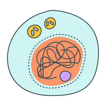 รูปภาพInterphase – เลือกดูภาพถ่ายสต็อก เวกเตอร์ และวิดีโอ1,982 | Adobe ...