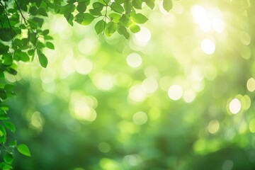 Blur background of sunlight filtering through a dense green forest, highlighting the tranquility and natural beauty. Peaceful woodland scene.  with generative ai