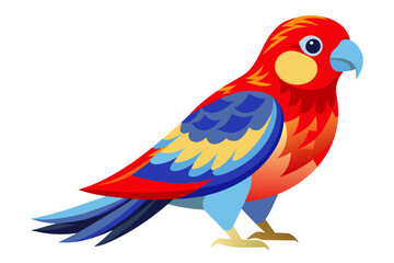 Eastern rosella vector art illustration