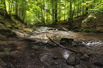 Potok Hylaty Bieszczady
