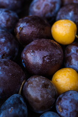 yellow and blue plums, fruits, summer fruits, autumn fruits