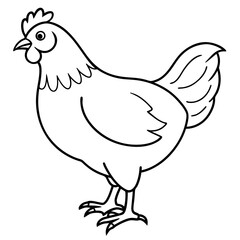 Hen line art isolated on a white background 
