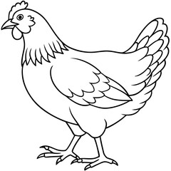 Hen line art isolated on a white background 
