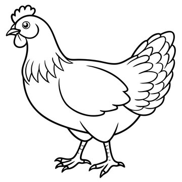 recommend clip art: Hen line art isolated on a white background 
                    