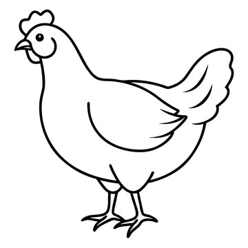 recommend clip art: Hen line art isolated on a white background 
                    