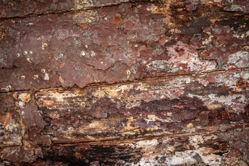 Shiffswrack Boot Strukturen © Skulls n' Gears