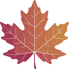 Fototapeta premium 단풍잎 