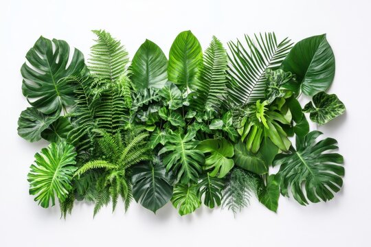 A collection of diverse green leaves arranged horizontally on a white background - Powered by Adobe