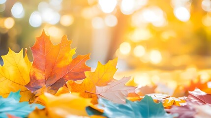 Autumn Leaves with Golden Bokeh Background