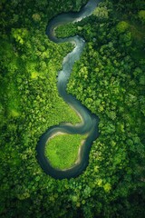 Fototapeta premium River in Lush Green Forest