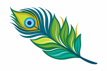 Peacock feather vector illustration 
