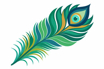 Peacock feather vector illustration 

