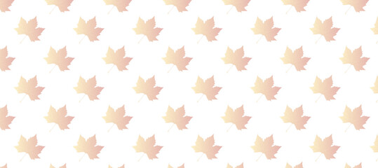 Yellow and red autumn leaves in the white background