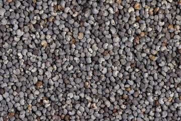 scattered poppy seeds for cooking