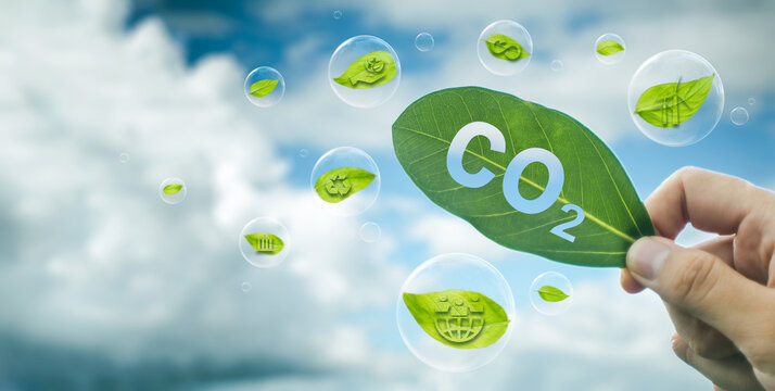 Reduce CO2 emissions to limit climate change and global warming. Tree canopies protect against oxygen O2 and carbon dioxide CO2. Molecules.net Zero Carbon.