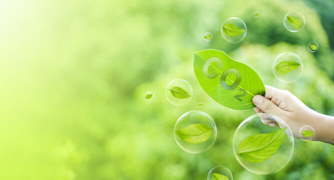 Reduce CO2 emissions to limit climate change and global warming. Tree canopies protect against oxygen O2 and carbon dioxide CO2. Molecules.net Zero Carbon.
