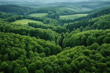 Fototapeta premium Green forest and nature, Aerial view of trees in forest in Germany with generative ai