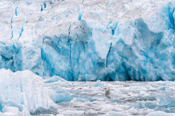 Details of sawyer glacier at the head of Tracy Arm fjord in Alaska near Juneau during summer 