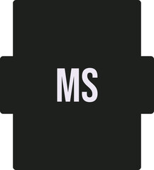MS ip file extension icon color fill outer flat