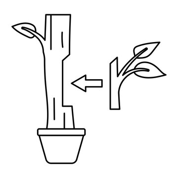 tree transplanting process black outline