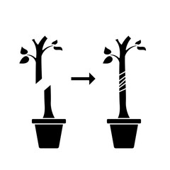 plant grafting