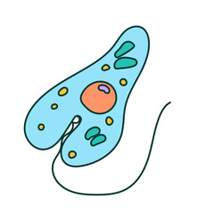 protozoa illustration