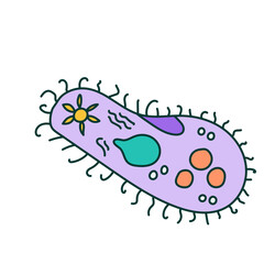 protozoa illustration