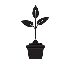 Fototapeta premium shoots plant