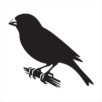 black bird silhouette perched on branch clip art preview