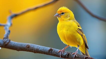 A vibrant yellow bird with a red beak perches on a branch, its feathers catching the sunlight.