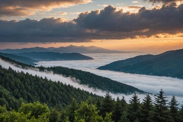 Obraz premium Low clouds from the sea sliding through the trees during sunset on mountains